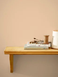 New Joules Bushell Pink Multi Surface Matt Emulsion BushellPink