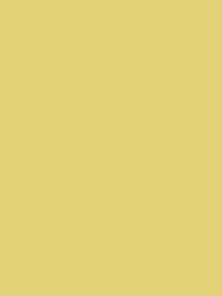 Online Joules Cornish Sun Yellow Multi Surface Matt Emulsion CornishSunYellow