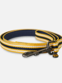 Clearance Joules Coastal Stripe Dog Lead Multi