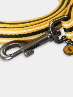 Clearance Joules Coastal Stripe Dog Lead Multi