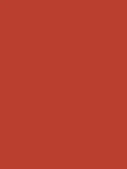 Hot Joules Spurn Point Red Multi Surface Matt Emulsion SpurnPointRed
