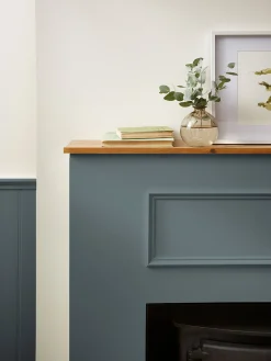 New Joules Woodlouse Grey Multi Surface Matt Emulsion WoodlouseGrey